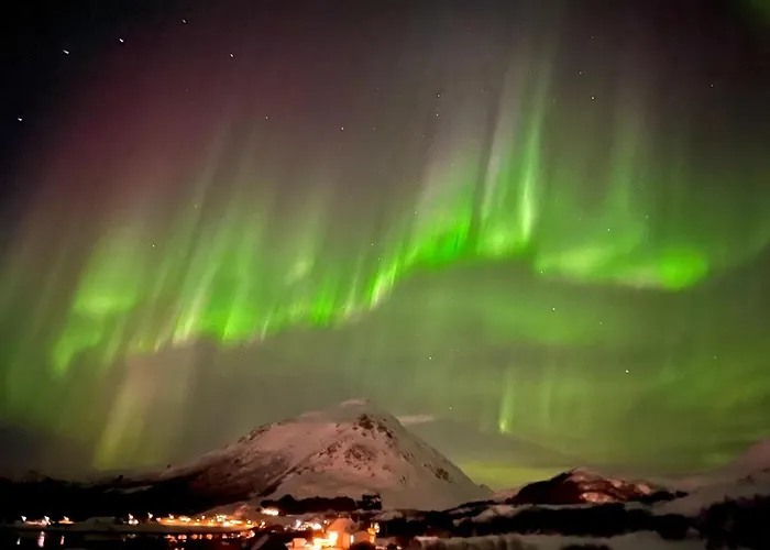 Lofoten SeaZens Panorama